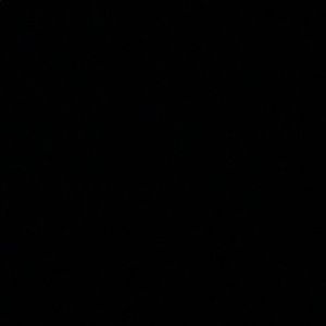 Meet your Posher, Lexi